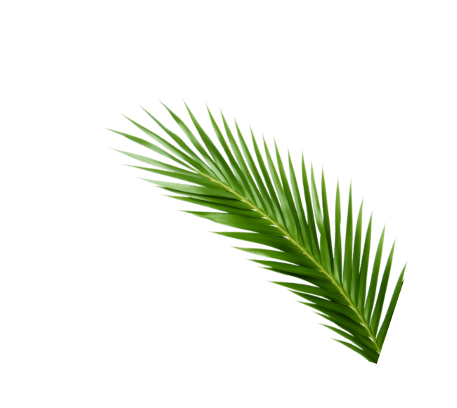 Leaf Left