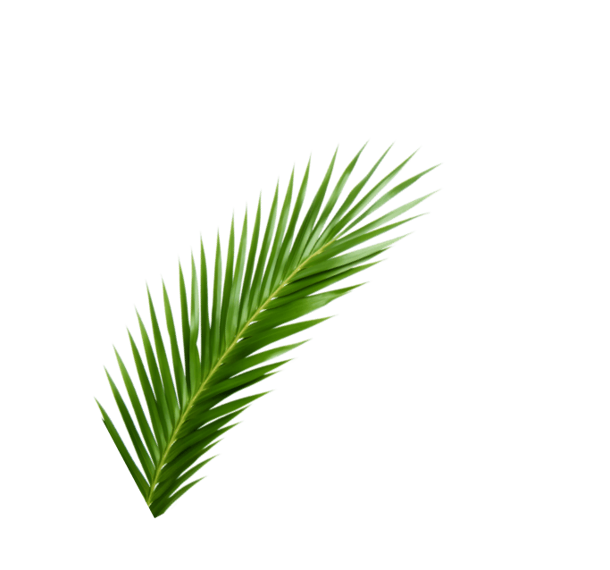left-leaf