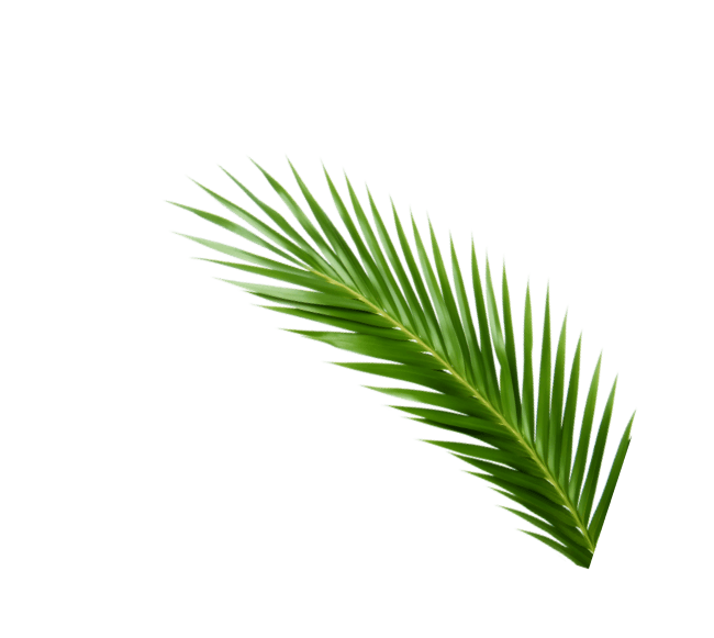 left-leaf