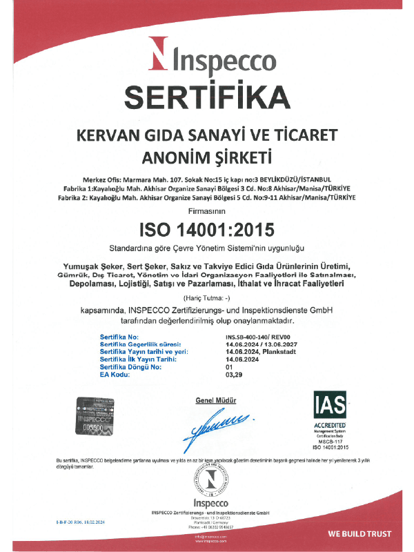Iso 14001.png