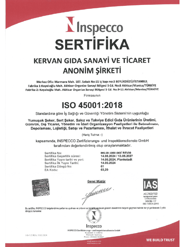 Iso 45001.png