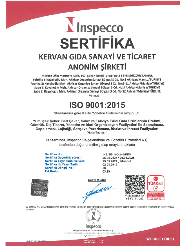 Iso 9001.png